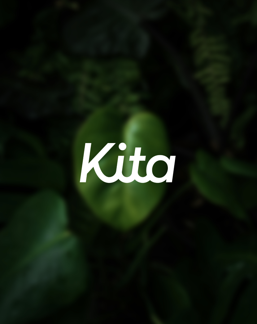 Kita Case Study